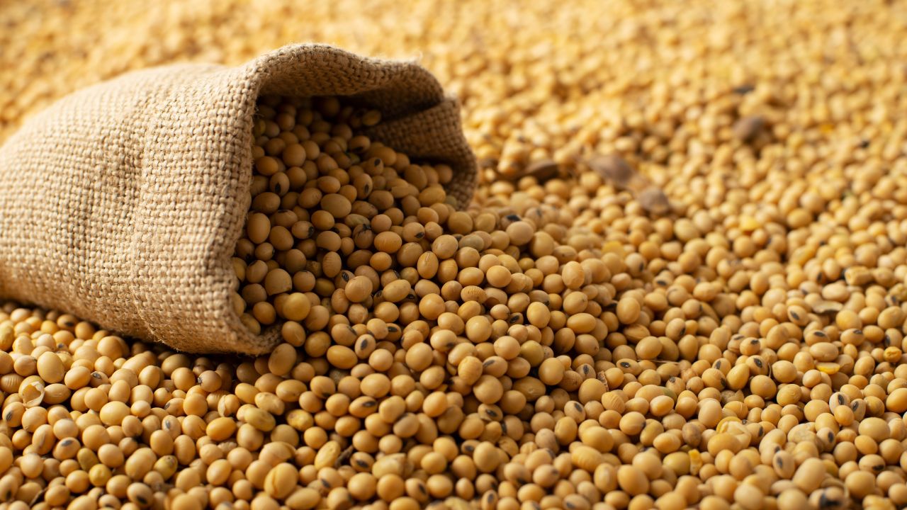 The Optical Economics of Soybeans and Tariffs
